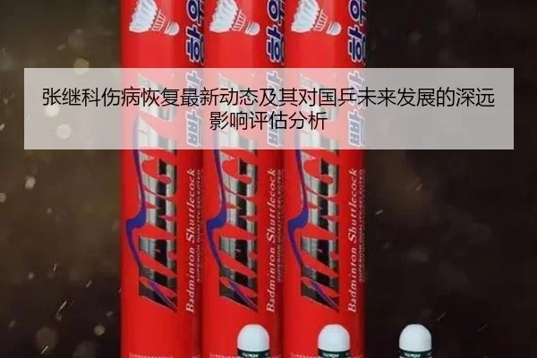张继科伤病恢复最新动态及其对国乒未来发展的深远影响评估分析（Kaiyuan）